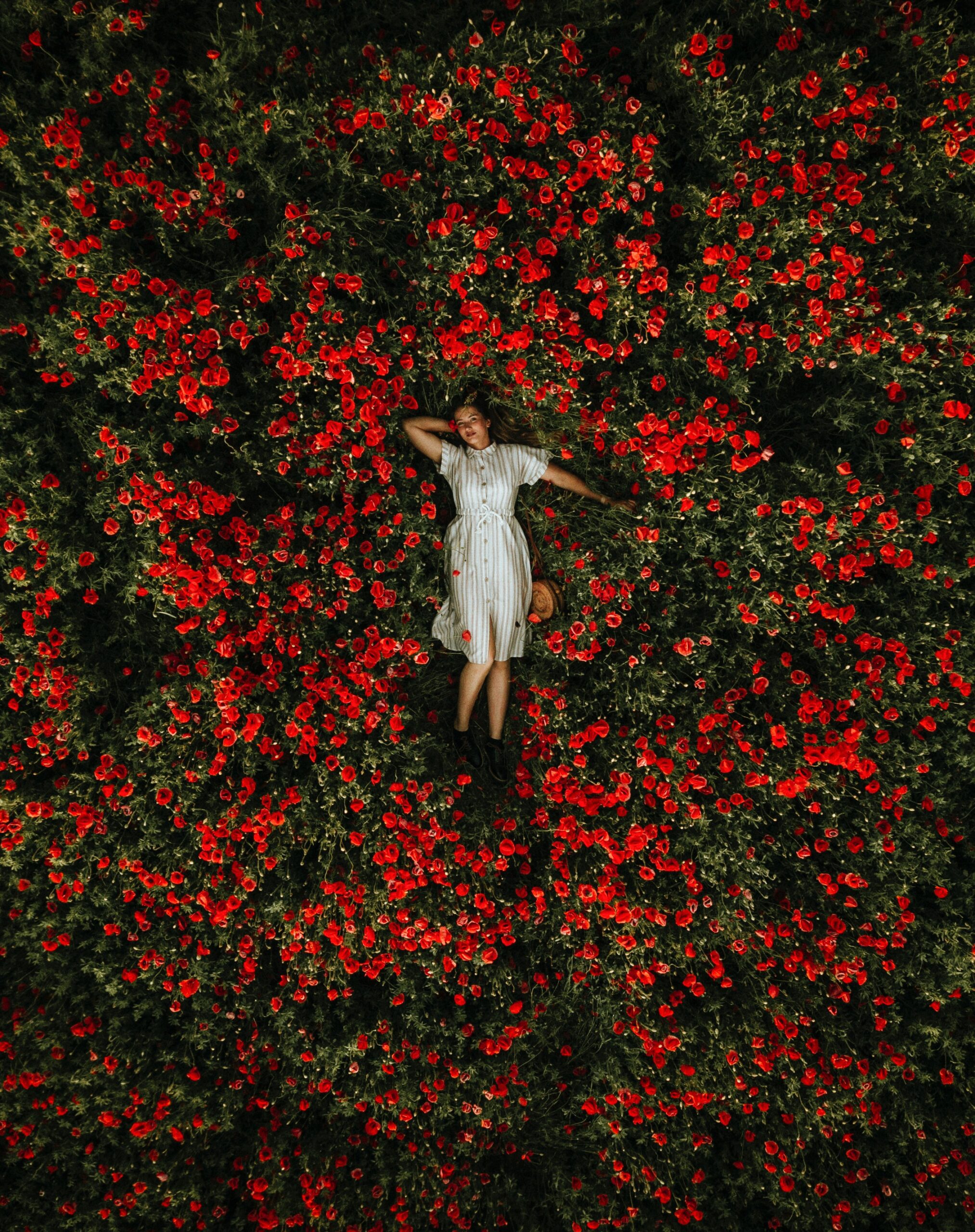 drone videography